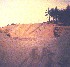 Graves